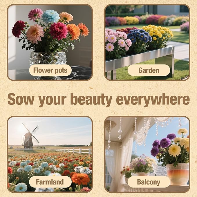 8000+ Zinnia Flower Seeds for 2026-7+ Color Mix, High Germination Rate, Perfect for Gardens, Mix Zinnia Wildflower Seeds, Mixed Colors and Large Blooms, Easy to Grow, Large 2 Ounce Packet