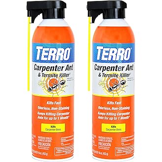 TERRO T2600 Perimeter Outdoor Ant Bait Plus - Attracts and Kills Carpenter Ants, Roaches, Crickets, Earwigs, Silverfish, Slugs and Snails - 2 Pack, 4Lbs