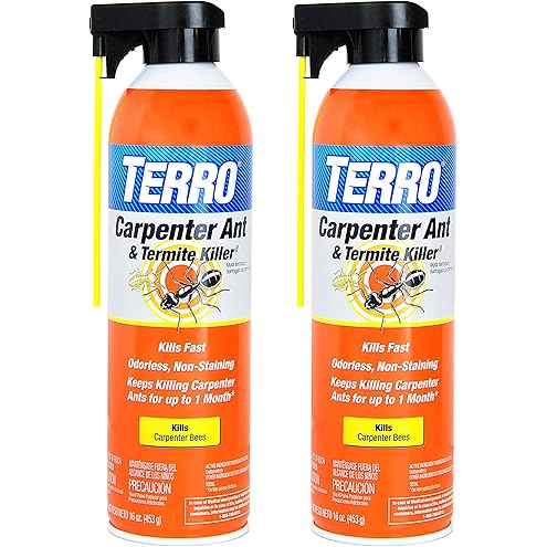 TERRO T2600 Perimeter Outdoor Ant Bait Plus - Attracts and Kills Carpenter Ants, Roaches, Crickets, Earwigs, Silverfish, Slugs and Snails - 2 Pack, 4Lbs