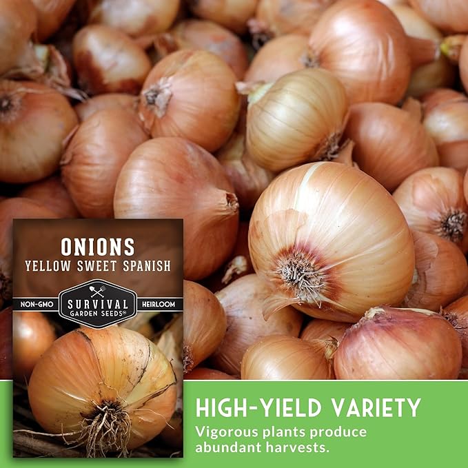 Yellow Sweet Spanish Onion Seeds for Planting – Large Mild Long Day Yellow Onions with High Yield & Sweet Flavor – Heirloom, Non-GMO, Open-Pollinated – Survival Garden Seeds (1 Pack)