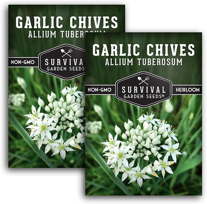 Survival Garden Seeds 2 Packs Garlic Chives Seed for Planting - Packet with Instructions to Grow Delicious Perennial Herbs in Your Home Vegetable Garden - Non-GMO Heirloom