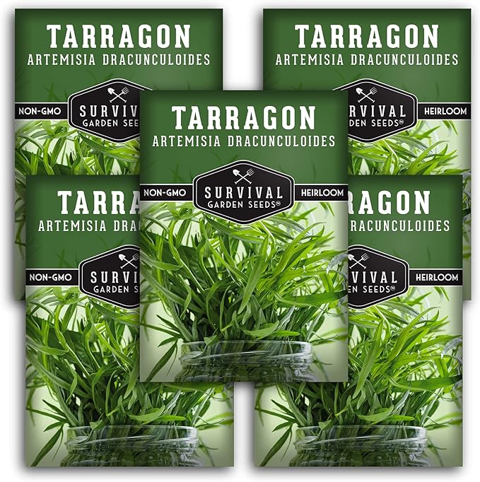 Russian Tarragon Seeds for Planting - Plant & Grow Big Flowering Herbs in Your Home Vegetable Garden - Non-GMO Heirloom Variety - Survival Garden Seeds (5 Packs)