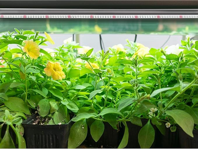 Westinghouse 6365800 SunTube Horticultural LED Grow Light, Silver