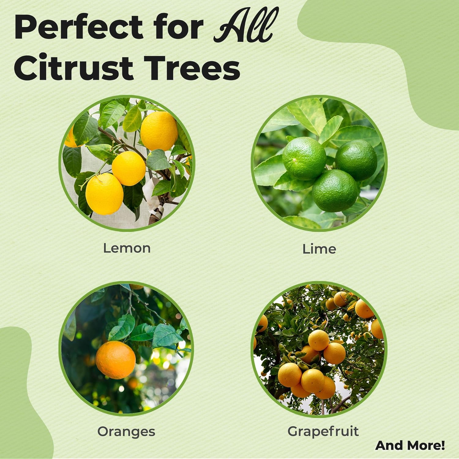 Citrus Tree Potting Soil by Perfect Plants | Organic Premium Mix | Use with Lemon Trees, Lime Trees, or Other Citrus Plants (8qt)