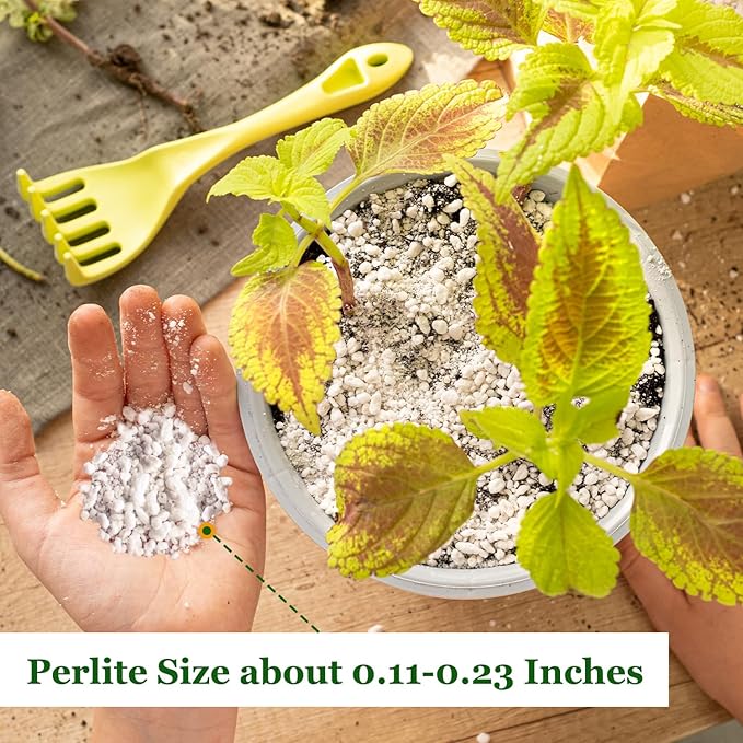 Organic Horticultural Perlite,Natural Perlite Improved Drainage, Ventilation & Root Growth,Perlite Conditioner Potting Mix for Orchids,Succulents,Indoor & Outdoor Plant and Gardening-4QT
