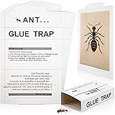 STEM Liquid Ant Baits, Kills The Queen and Colony, for Indoor Use, 12 Spill Proof Bait Stations