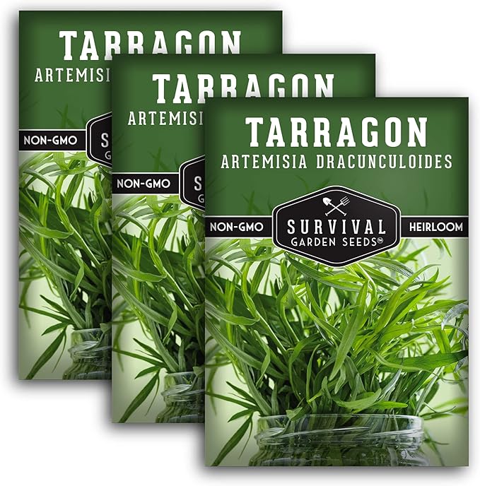 Russian Tarragon Seeds for Planting - Plant & Grow Big Flowering Herbs in Your Home Vegetable Garden - Non-GMO Heirloom Variety - Survival Garden Seeds (3 Packs)