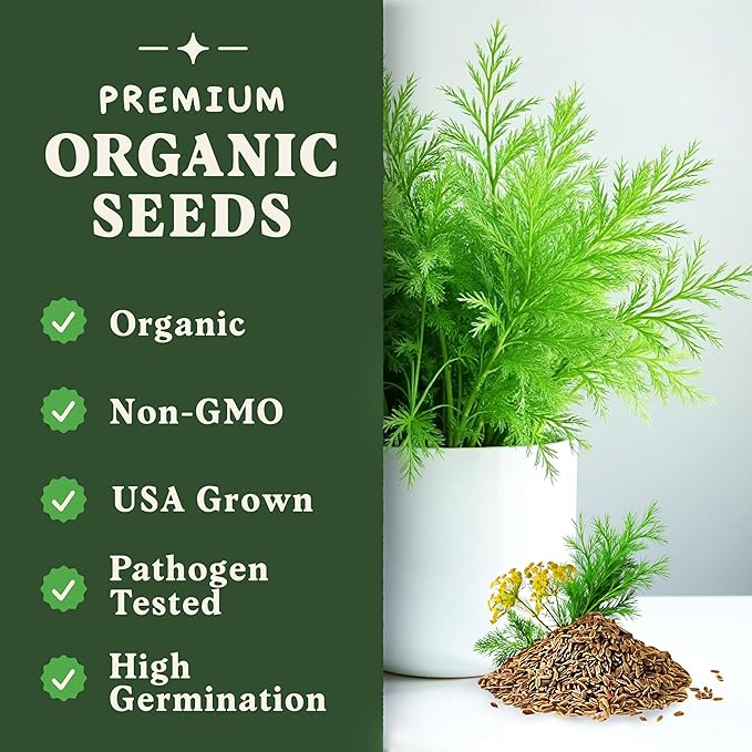 Seedboy Organic Dill Seeds for Planting Indoor and Outdoor, Non-GMO and USDA Certified Herb Seed Packet for Hydroponic Garden Indoor or Planting Outdoors (Bouquet Dill)