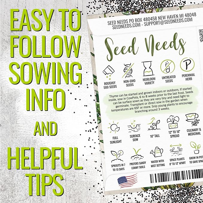 Seed Needs Sweet Marjoram & Thyme Seeds for Planting Fresh Kitchen Herbs - Non-GMO Heirloom & Untreated Perennial Herb Seed to Plant a Culinary Garden Indoors or Outdoors (2 Packs)