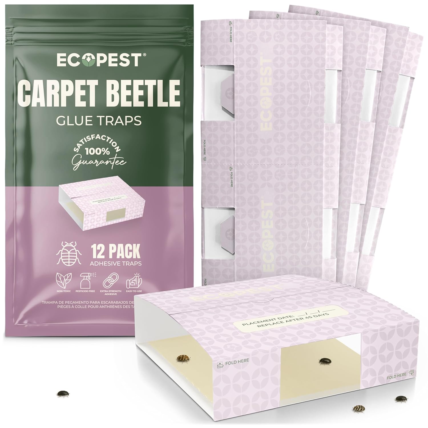 Carpet Beetle Traps – 20 Pack | Sticky Indoor Glue Boards for Carpet Beetles, Larvae & Other Crawling Insects | Non-Toxic Pest Control Trap & Monitor for Closets, Storage Areas, and More