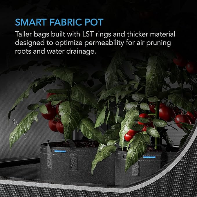 AC Infinity Heavy Duty Fabric Pots, 3 Gallon Aeration Reusable Grow Bags 5-Pack with 500G Thick Nonwoven Fabric and Multi-Purpose Rings, for Low Stress Plant Training Fruits, Vegetables, and Flowers