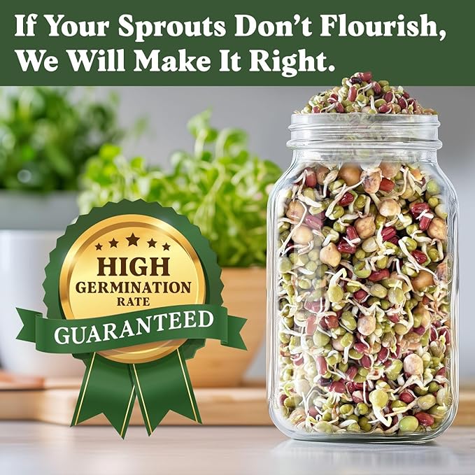 Seedboy Organic Non-GMO Sprouting Seeds, Protein Blend – USA Grown Microgreens Mix with Garbanzo, Mung Bean, Adzuki Beans, Green Pea - 8 oz Bag Makes 2 Quarts / 12 Servings (Protein Blend)