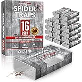 MaxGuard Spider + Insect Traps (12 pcs Box Trap) | Non-Toxic Extra Sticky Glue Traps, Kill Black Widow Hobo Brown Recluse Spiders and Other Crawling Bugs & Insects |