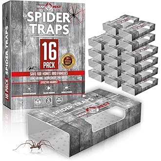 MaxGuard Spider + Insect Traps (12 pcs Box Trap) | Non-Toxic Extra Sticky Glue Traps, Kill Black Widow Hobo Brown Recluse Spiders and Other Crawling Bugs & Insects |