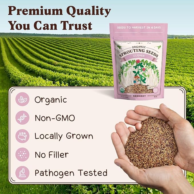 Seedboy Organic Non-GMO Clover Seeds for Sprouting - USA Grown Microgreens Sprouting Seeds - 8 oz Bag Makes 8 Quarts / 24 Servings (Red Clover)