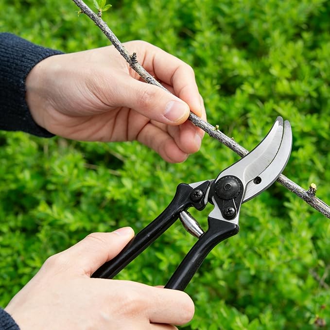 Patio Loppers Garden Tools, 3 Piece Kit with Hand Lopper, Hedge Shear and Bypass Pruner; Tree Trimmer Pruning Shears Branch Cutter Heavy-duty Clippers Shrub Care Set for Yard Lawn Gardening Gift