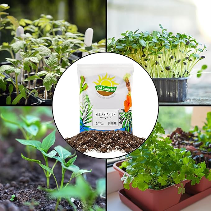 Soil Sunrise All Natural Seed Starting Mix (4 Quarts) Expert Grade Seed Starter Potting Mix, Start Herbs, Vegetables, and Other Grass