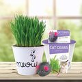 Garden State Bulb Cat Grass for Indoor Cats - Growing Kit - Organic Cat Grass Seeds, Soil with Mouse Toy and Meow Container (Non GMO) - Locally Sourced Seeds! (2 Pack)