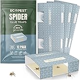 Carpet Beetle Traps – 20 Pack | Sticky Indoor Glue Boards for Carpet Beetles, Larvae & Other Crawling Insects | Non-Toxic Pest Control Trap & Monitor for Closets, Storage Areas, and More