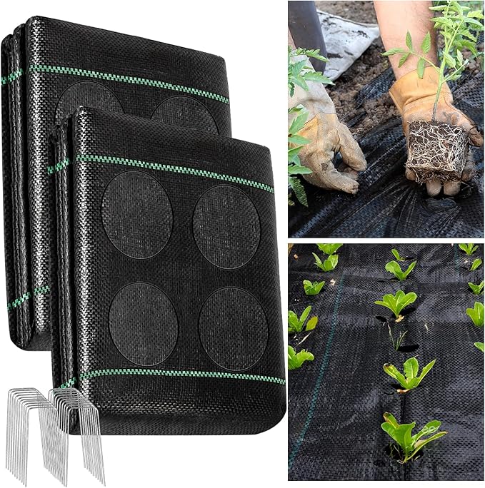 2 Pack Weed Barrier Landscape Fabric Heavy Duty with Holes,Thicken Weed Block Gardening Ground Cover Mat,Weed Control Garden Cloth,Black Plastic Ground Cover,Commercial Driveway Fabric 4x25ft