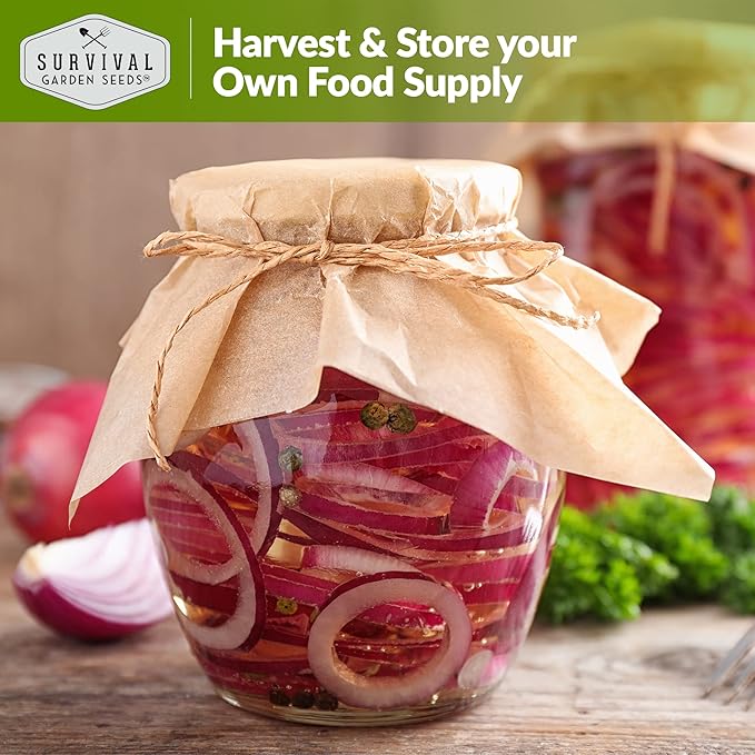 Red Burgundy Onion Seeds for Planting – Sweet Mild Short Day Red Onions with High Yield & Great Flavor – Heirloom, Non-GMO, Open-Pollinated Variety – Survival Garden Seeds (1 Pack)