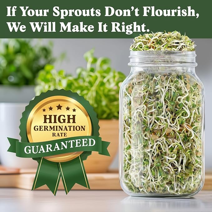 Seedboy Organic Non-GMO Fenugreek Seeds for Sprouting - Microgreens Sprouting Seeds - 8 oz Bag Makes 8 Quarts / 24 Servings (Fenugreek)