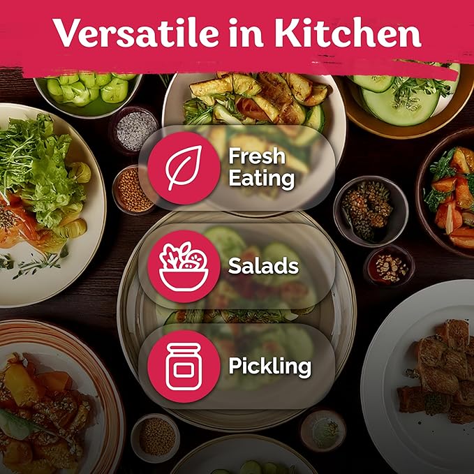 KVITER 50 Beit Alpha Cucumber Seeds for Planting (Cucumis sativus) – Persian Cucumbers, Parthenocarpic Cucumber Organic – Non GMO, Heirloom Vegetable Seeds for Home Garden, Containers & Greenhouses