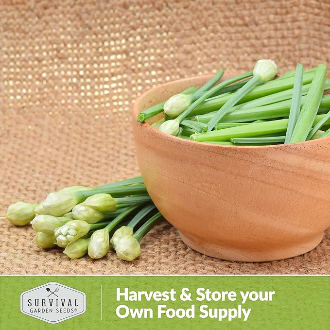 Survival Garden Seeds 1 Pack Garlic Chives Seed for Planting - Packet with Instructions to Grow Delicious Perennial Herbs in Your Home Vegetable Garden - Non-GMO Heirloom