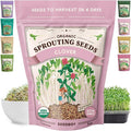 Seedboy Organic Non-GMO Clover Seeds for Sprouting - USA Grown Microgreens Sprouting Seeds - 8 oz Bag Makes 8 Quarts / 24 Servings (Red Clover)