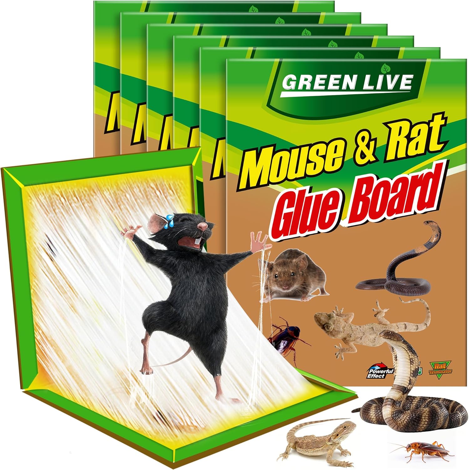 Ezoon 12 Pack Large Mouse Glue Traps with Enhanced Stickiness, Rat Snake Sticky Pad Board for House Indoor Outdoor, Easy to Set, Extra Large (8.3" x 12")