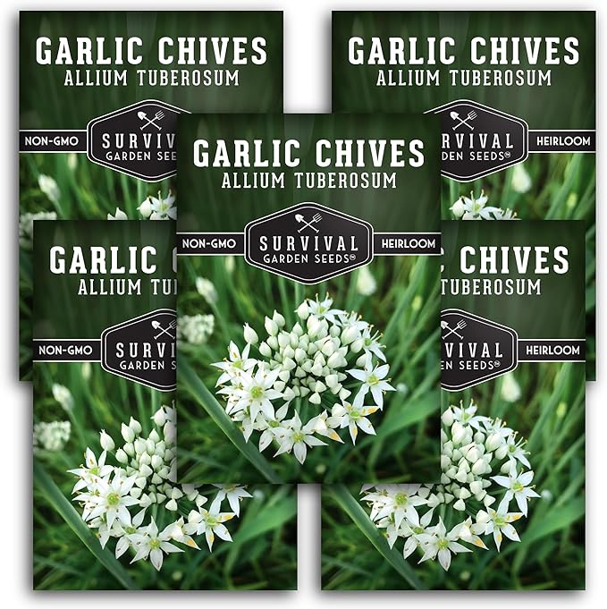 Survival Garden Seeds 5 Packs Garlic Chives Seed for Planting - Packet with Instructions to Grow Delicious Perennial Herbs in Your Home Vegetable Garden - Non-GMO Heirloom