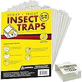MaxGuard Spider + Insect Traps (12 pcs Box Trap) | Non-Toxic Extra Sticky Glue Traps, Kill Black Widow Hobo Brown Recluse Spiders and Other Crawling Bugs & Insects |