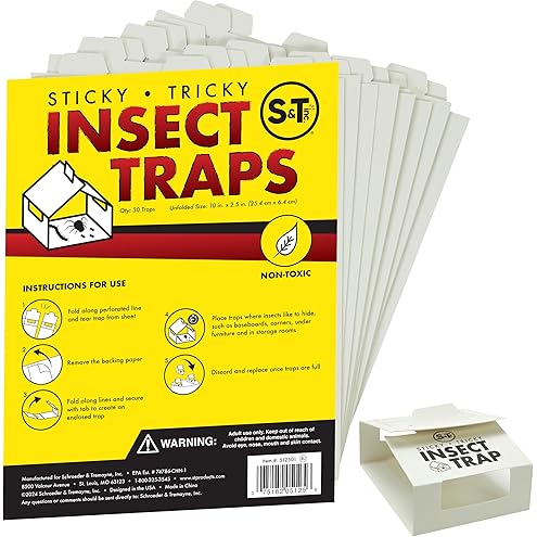 MaxGuard Spider + Insect Traps (12 pcs Box Trap) | Non-Toxic Extra Sticky Glue Traps, Kill Black Widow Hobo Brown Recluse Spiders and Other Crawling Bugs & Insects |
