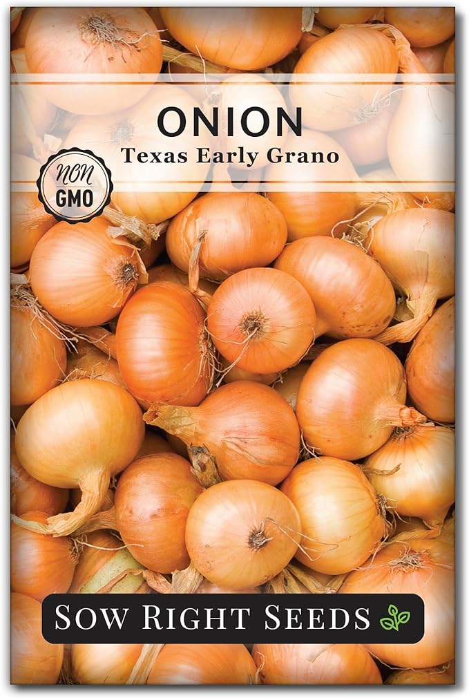Sow Right Seeds - Texas Early Grano Onion Seeds for Planting - Non-GMO Heirloom Packet with Instructions to Plant a Home Vegetable Garden - Grow Classic Yellow Short Day Onions - Kitchen Staple