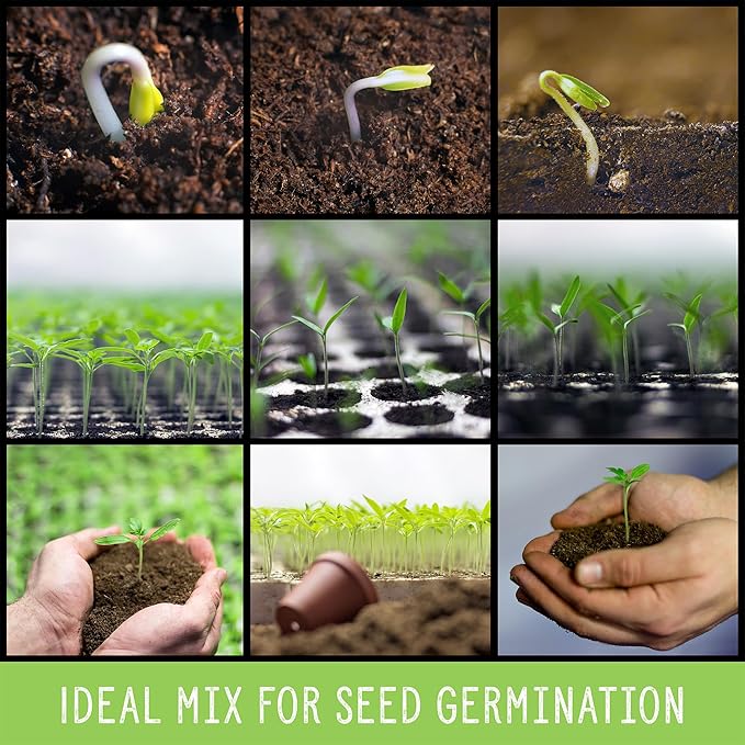 Soil Sunrise All Natural Seed Starting Mix (8 Quarts) Expert Grade Seed Starter Potting Mix, Start Herbs, Vegetables, and Other Grass