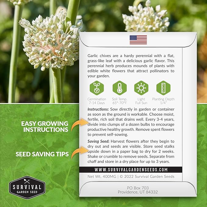 Survival Garden Seeds 5 Packs Garlic Chives Seed for Planting - Packet with Instructions to Grow Delicious Perennial Herbs in Your Home Vegetable Garden - Non-GMO Heirloom