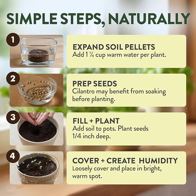 HOME GROWN Indoor Organic Herb Garden Kit, Unique Valentines Day Gift for Adults, Men, & Women,Grow 4 Herb Seeds for Kitchen Window Garden,Beginner DIY Hobby Gardening Gift for Plant Lovers, Mom & Dad