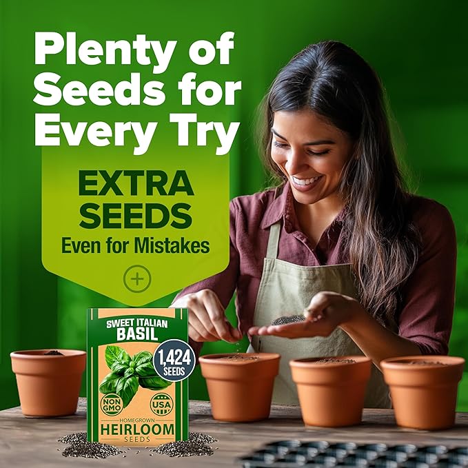 HOME GROWN Non GMO Italian Basil Seeds Bulk Pack 1,424 Sweet Large Leaf Basil Seeds for Planting and Heirloom Herb Seeds for Planting Indoors or Outdoors (Ocimum basilicum)