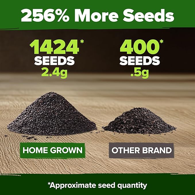 HOME GROWN Non GMO Italian Basil Seeds Bulk Pack 1,424 Sweet Large Leaf Basil Seeds for Planting and Heirloom Herb Seeds for Planting Indoors or Outdoors (Ocimum basilicum)