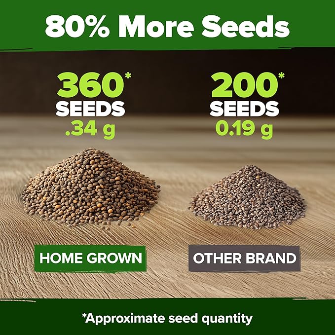 HOME GROWN Non GMO Culantro Seeds 360 Herb Seeds for Planting Non-GMO Heirloom Variety, Robust Flavor, Thrives in Heat, Grows Indoors or Outdoors, Cilantro Substitute (Eryngium Foetidum)