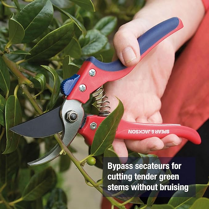 Spear & Jackson Razorsharp Bypass Pruning Shears, SK5 Carbon Steel Blades, Coated for Corrosion Resistance, Ergonomic Handles for Comfortable Use