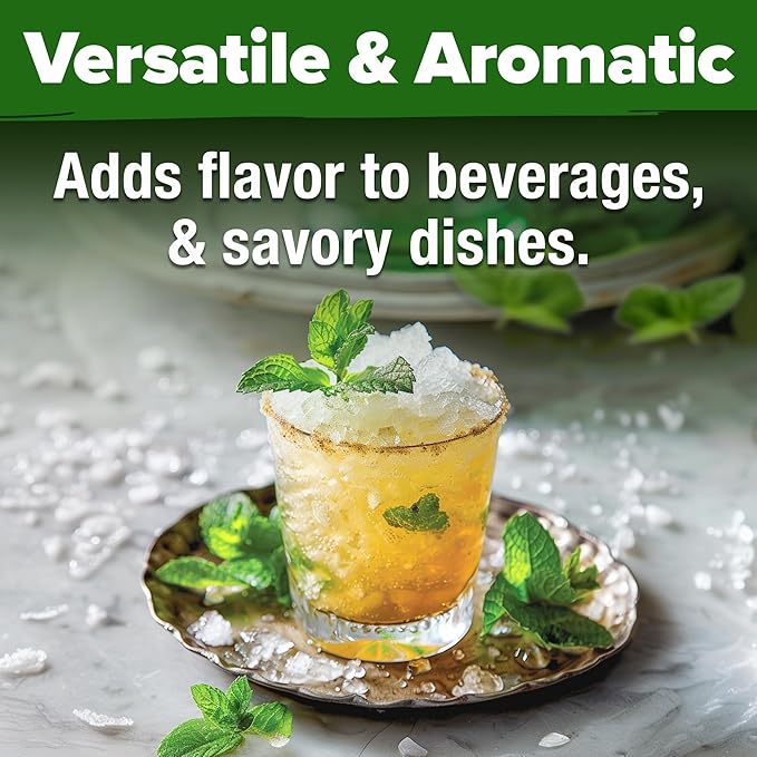 HOME GROWN Non GMO Common Mint Seeds (Bulk Pack) 1,800 Heirloom Herb Seeds, USA Sourced | Ideal for Planting Outdoors or Indoors for a Fresh Mint Tea Garden (Mentha spp)