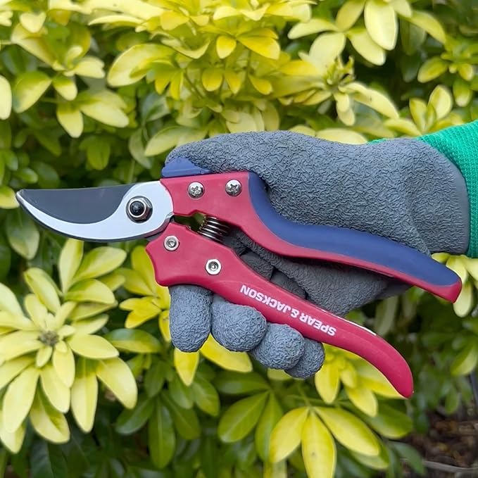 Spear & Jackson Razorsharp Bypass Pruning Shears, SK5 Carbon Steel Blades, Coated for Corrosion Resistance, Ergonomic Handles for Comfortable Use