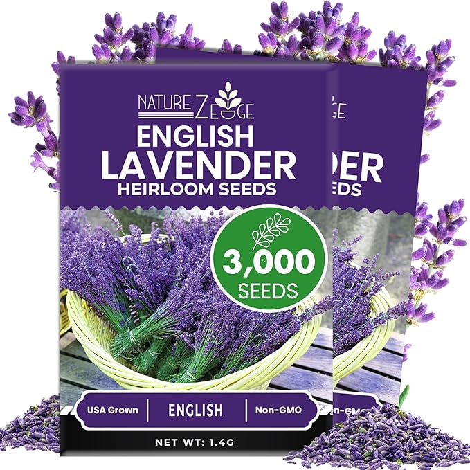 NatureZ Edge 3000 English Lavender Seeds for Planting Outdoors or Indoors, 90% Germination, to Give You The Lavender Plant You Need, Non-GMO, Heirloom Herb Seeds (2 Pack)