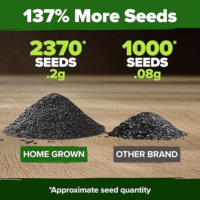 HOME GROWN Non GMO Peppermint Seeds Pack 2,370 Heirloom Mint Seeds for Planting. Grow Peppermint Plants in Your Herb Garden Indoors or Outdoors (Mentha x piperita)