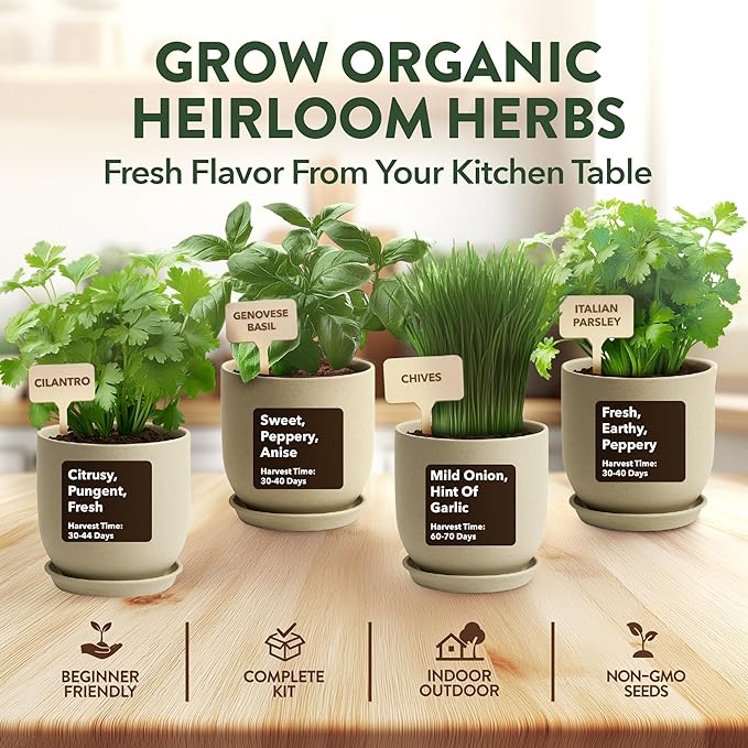 HOME GROWN Indoor Organic Herb Garden Kit, Unique Valentines Day Gift for Adults, Men, & Women,Grow 4 Herb Seeds for Kitchen Window Garden,Beginner DIY Hobby Gardening Gift for Plant Lovers, Mom & Dad