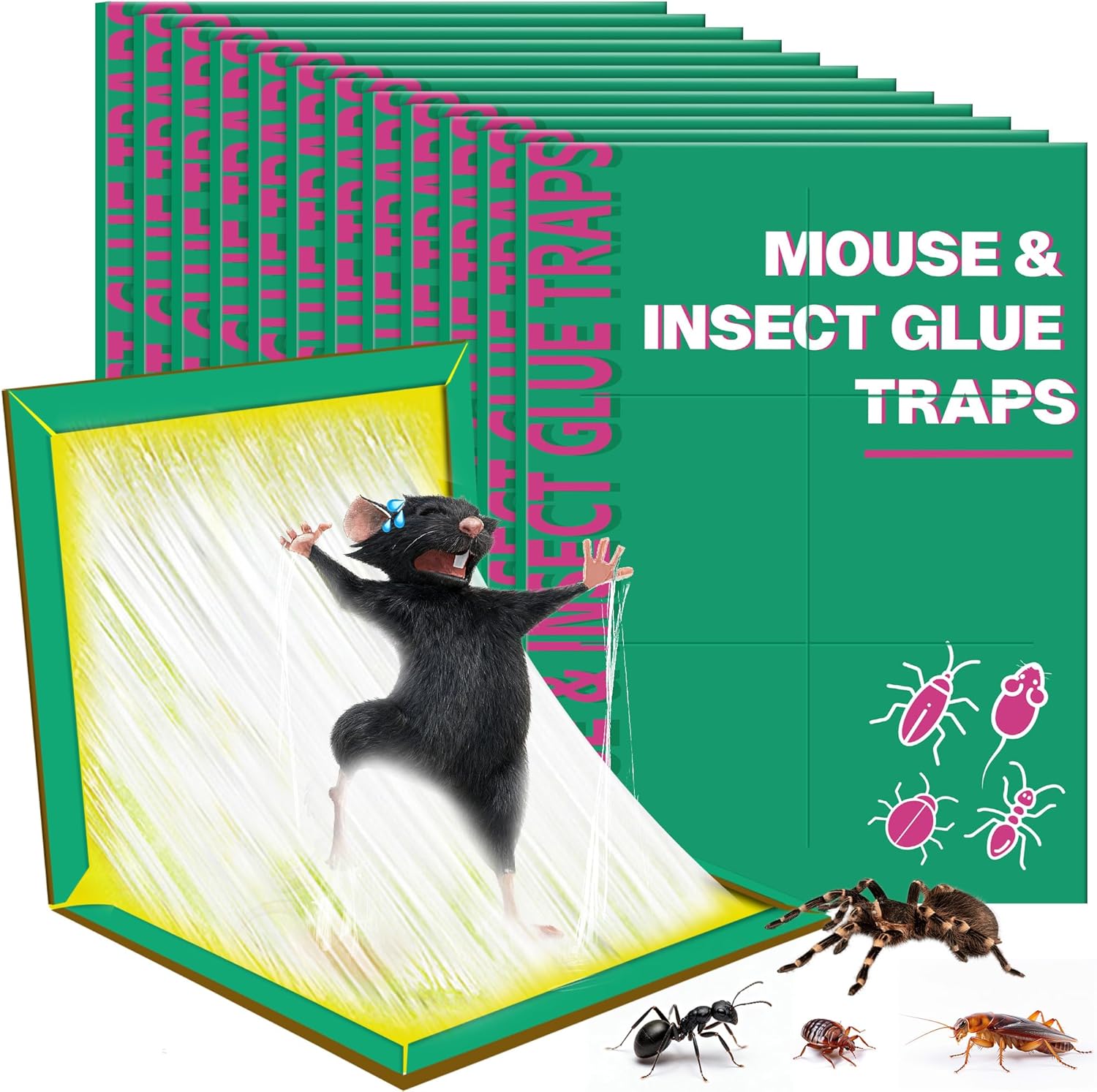 Ezoon 12 Pack Large Mouse Glue Traps with Enhanced Stickiness, Rat Snake Sticky Pad Board for House Indoor Outdoor, Easy to Set, Extra Large (8.3" x 12")