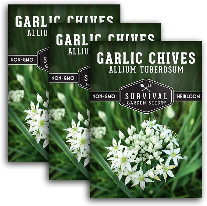 Survival Garden Seeds 3 Packs Garlic Chives Seed for Planting - Packet with Instructions to Grow Delicious Perennial Herbs in Your Home Vegetable Garden - Non-GMO Heirloom
