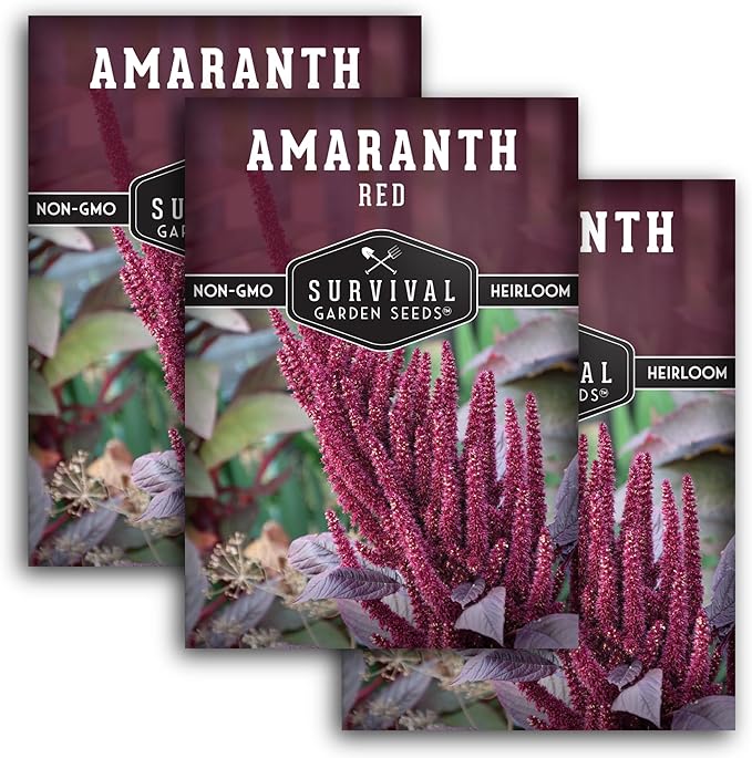Survival Garden Seeds - 3 Packs Red Amaranth Seed for Planting with Instructions to Grow Giant Burgundy Flowering Plants in Your Home Vegetable Garden - Non-GMO Heirloom Pseudograin Variety