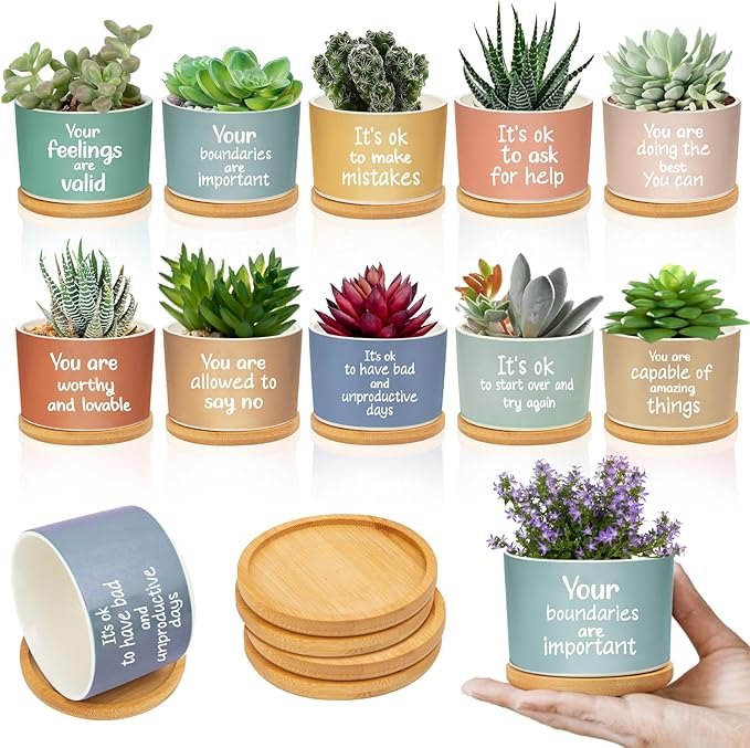 10 Pcs Positive Affirmation Gift Succulent Pots Mental Health Succulent Pots Gifts Inspirational Gifts Encouragement Ceramic Pot Small Succulent Flower Pots for Coworkers Friends Teacher Employee